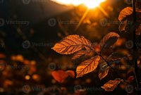 Herbstliche Farben Im Sonnenlicht