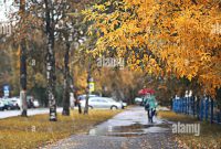 Herbstbilder Von Landschaften Im Regen